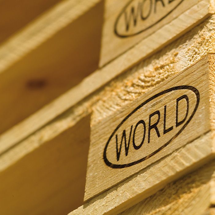 WORLD Paletten Detail